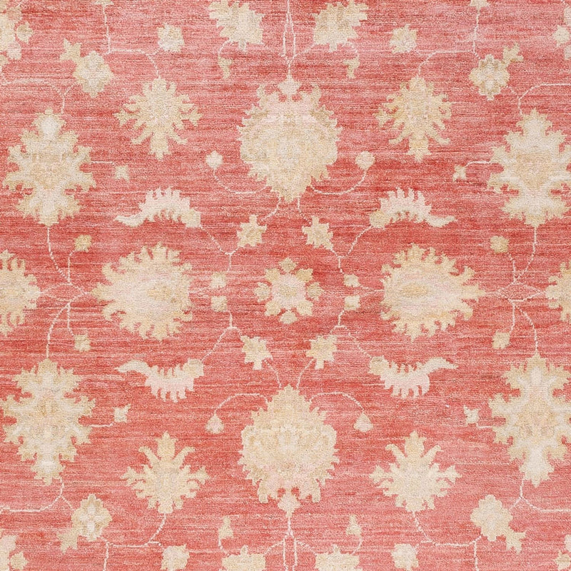 Ziegler Teppe 248x174cm - Orientalsk teppe