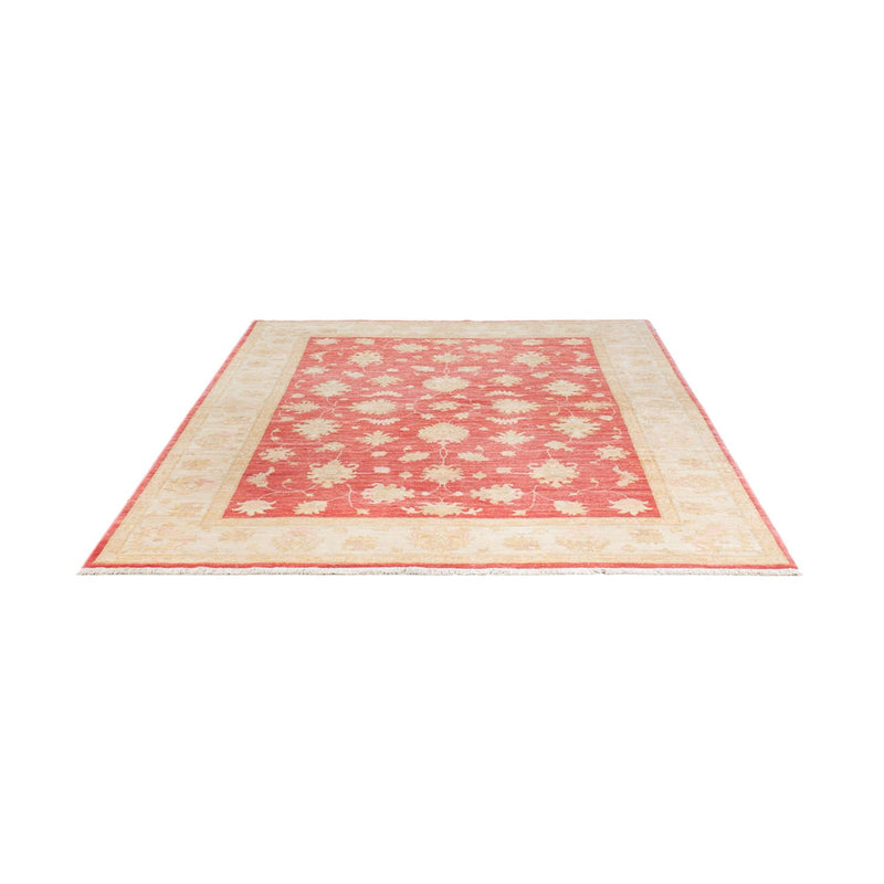 Ziegler Teppe 248x174cm - Orientalsk teppe