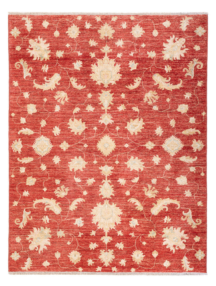 Ziegler moderne Teppe 206x154cm - Orientalsk teppe