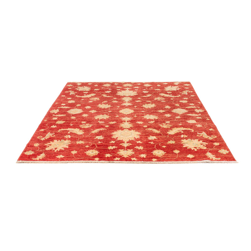 Ziegler moderne Teppe 206x154cm - Orientalsk teppe