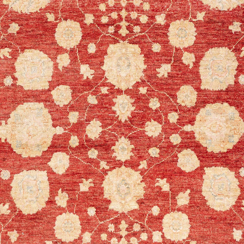Ziegler Teppe 210x152cm - Orientalsk teppe