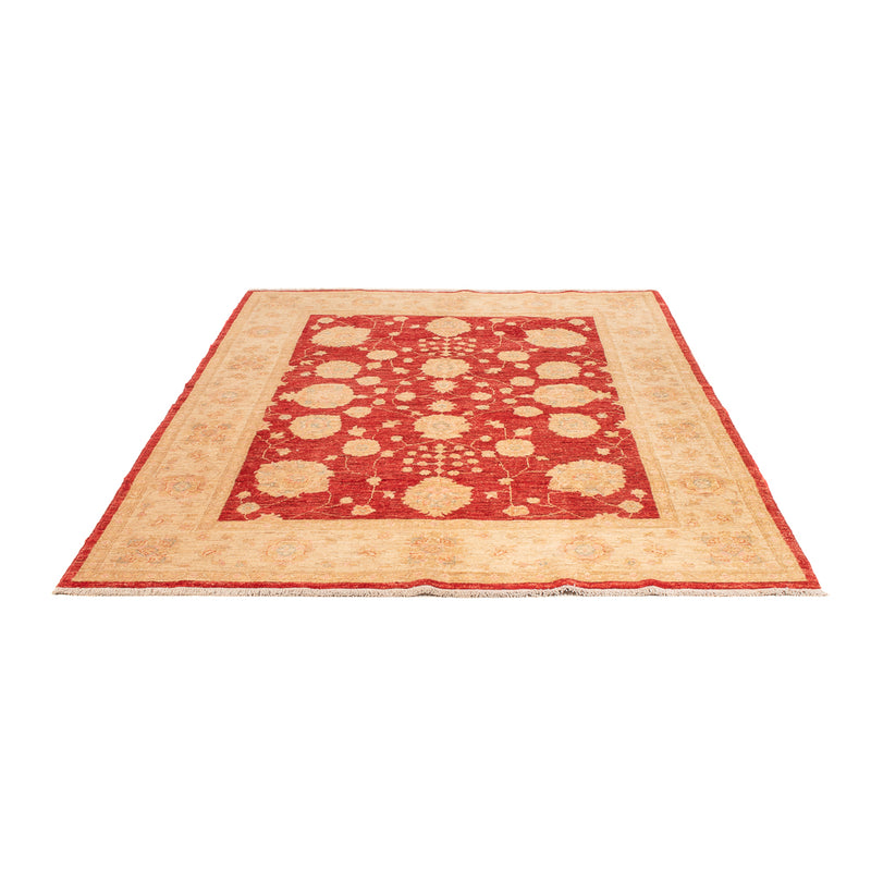 Ziegler Teppe 210x152cm - Orientalsk teppe