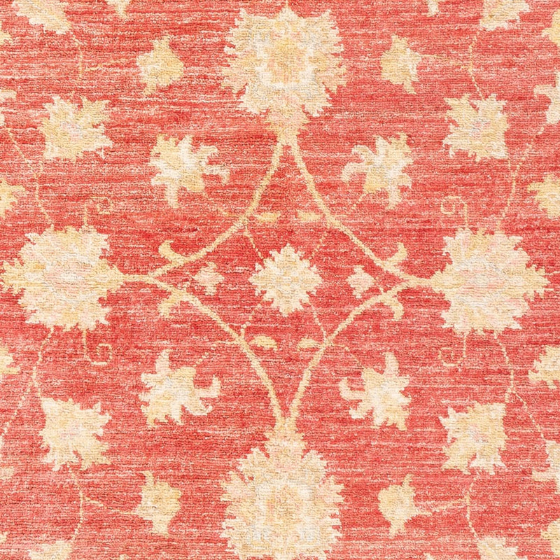 Ziegler Teppe 176x116cm - Orientalsk teppe