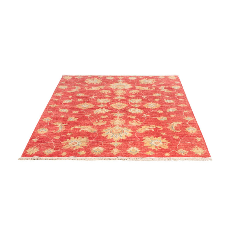Ziegler Teppe 180x127cm - Orientalsk teppe