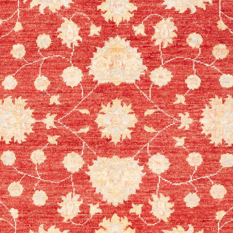 Ziegler Teppe 177x126cm - Orientalsk teppe