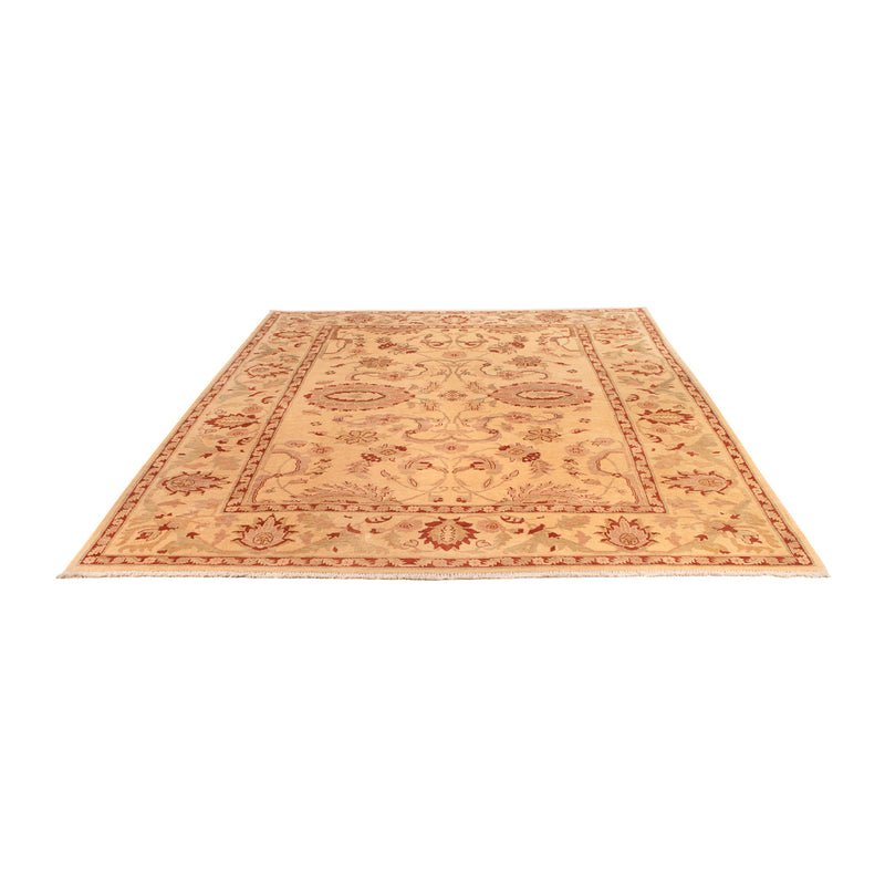 Ziegler Teppe - 304 x 213 cm - beige