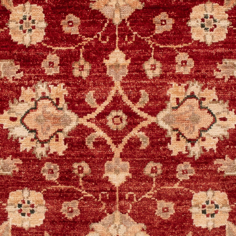 Ziegler Teppe 80x120cm - Orientalsk teppe