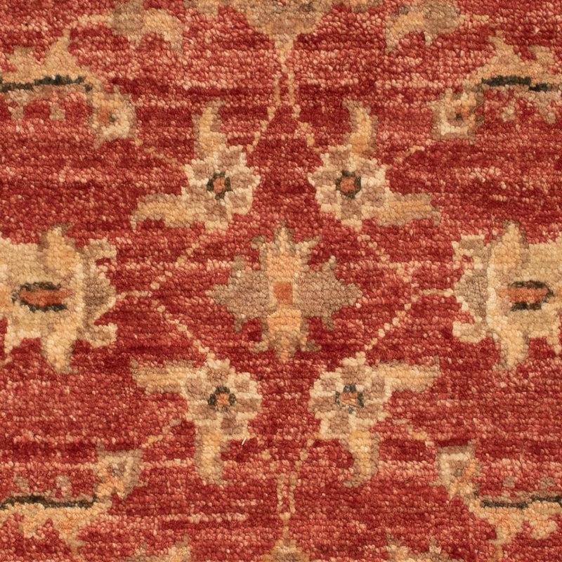 Ziegler Teppe 67x50cm - Orientalsk teppe