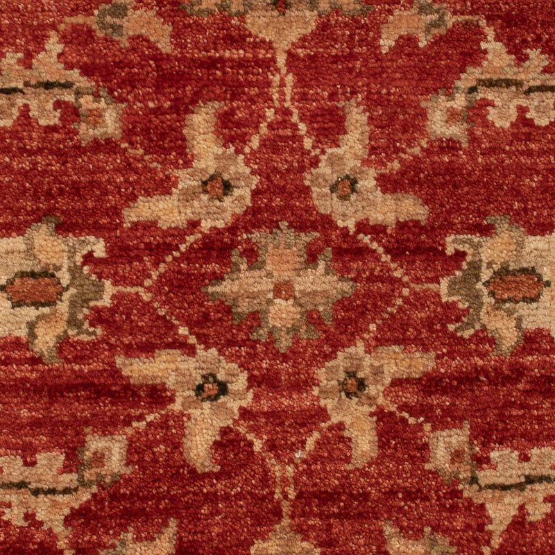 Ziegler Teppe 67x49cm - Orientalsk teppe