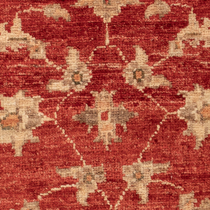 Ziegler Teppe 69x52cm - Orientalsk teppe