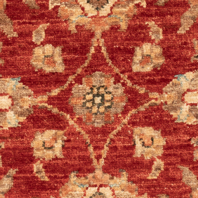 Ziegler Teppe 66x52cm - Orientalsk teppe
