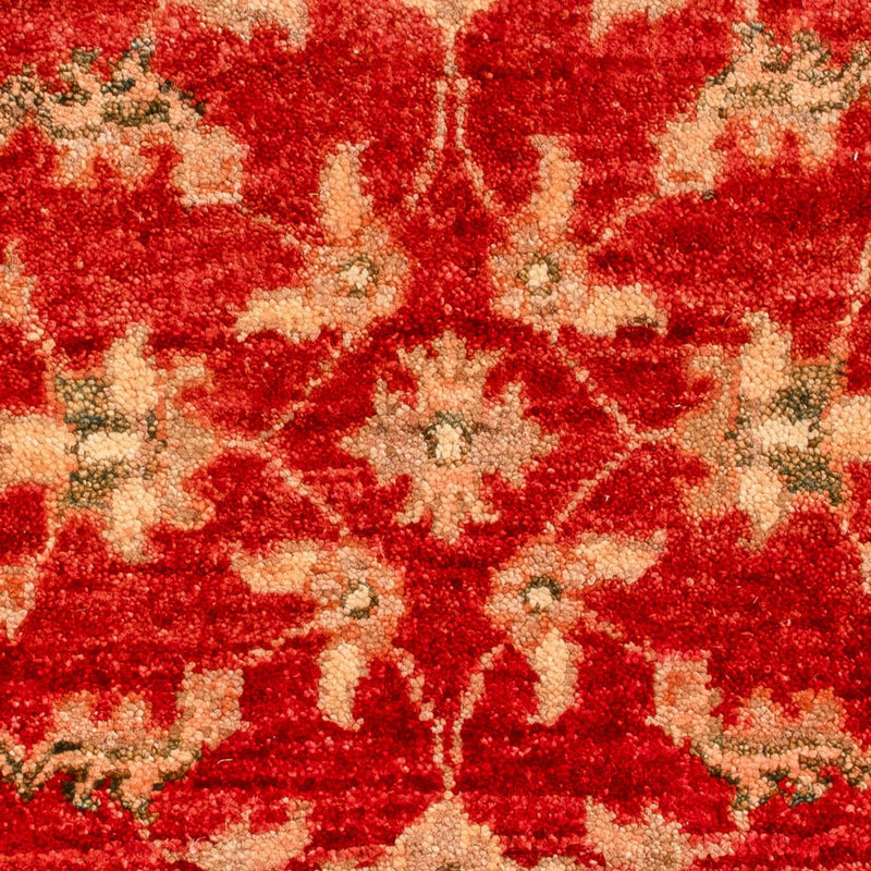 Ziegler Teppe 70x53cm - Orientalsk teppe