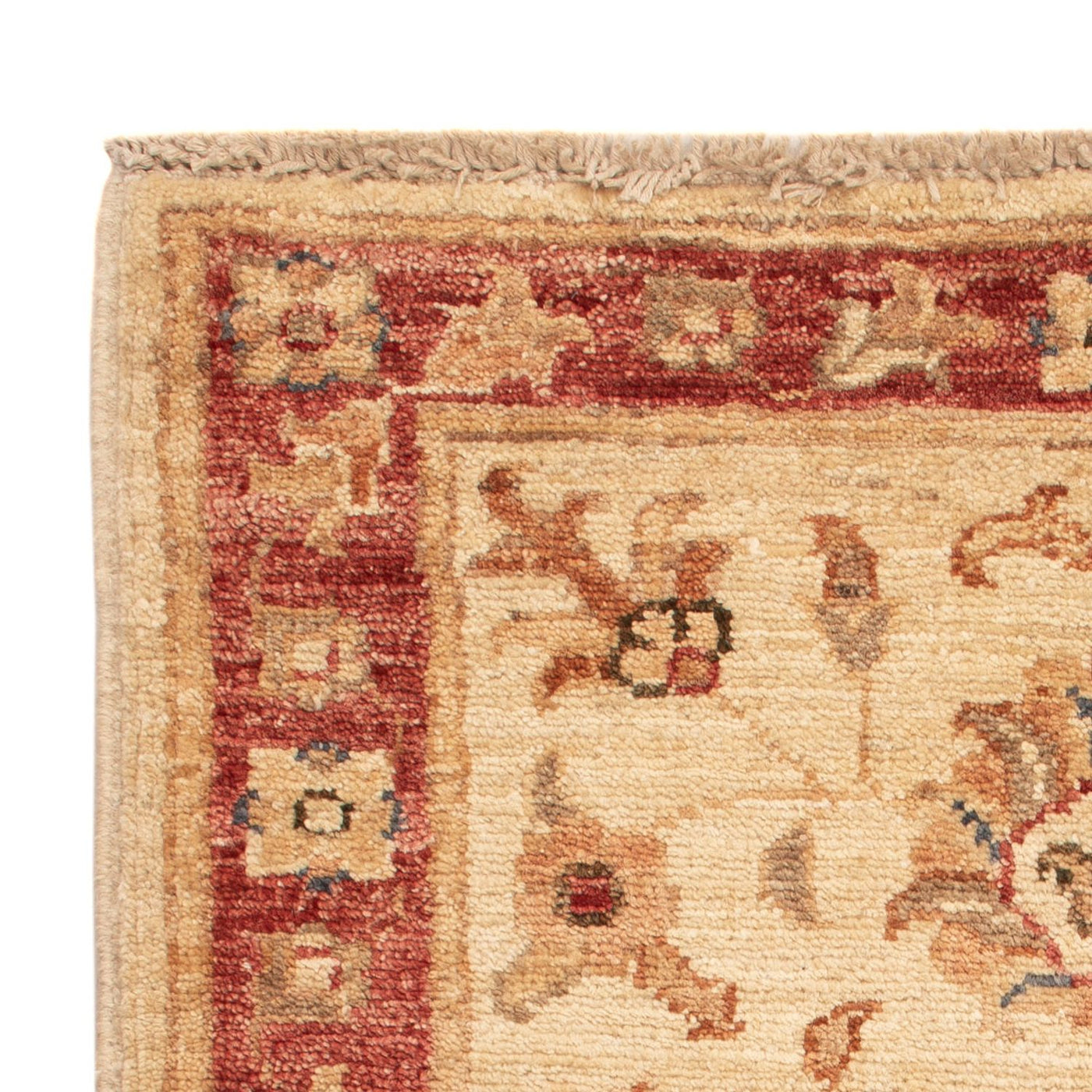 Ziegler Teppe 67x52cm - Orientalsk teppe
