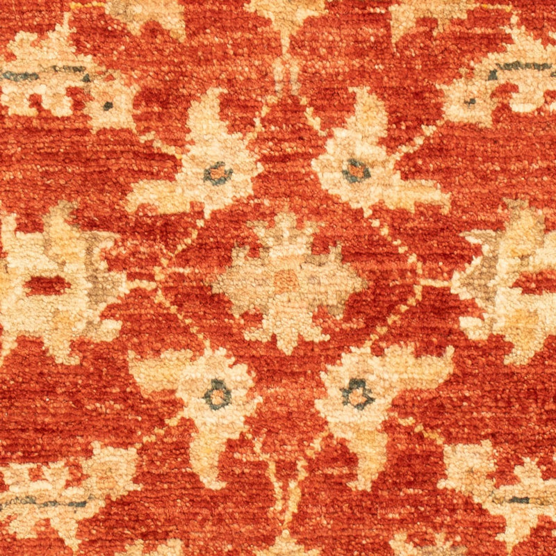 Ziegler Teppe 70x53cm - Orientalsk teppe