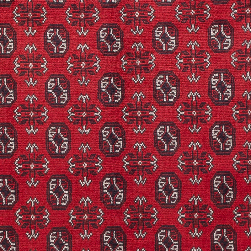 Akhche Teppe 302x245cm - Orientalsk teppe