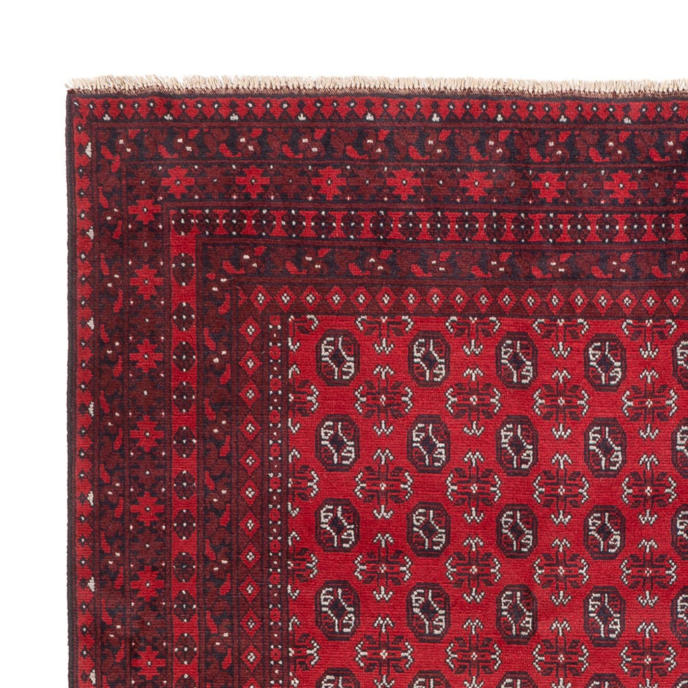 Akhche Teppe 302x245cm - Orientalsk teppe