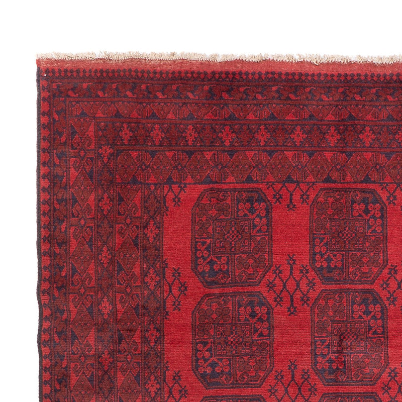 Akhche Teppe 350x253cm - Orientalsk teppe