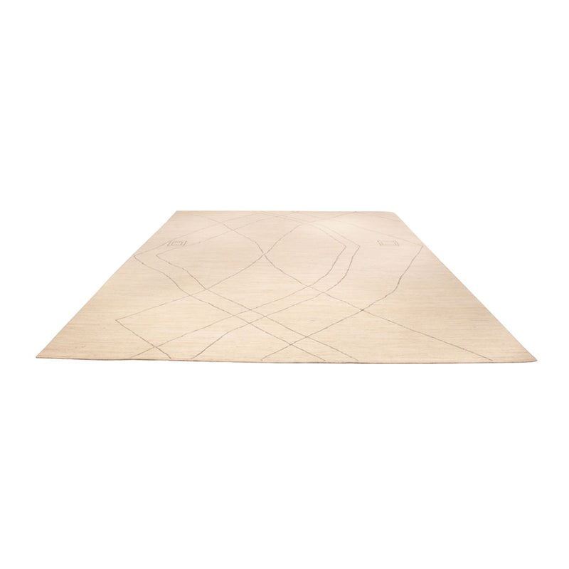 Designer teppe 410x310cm - Designerteppich