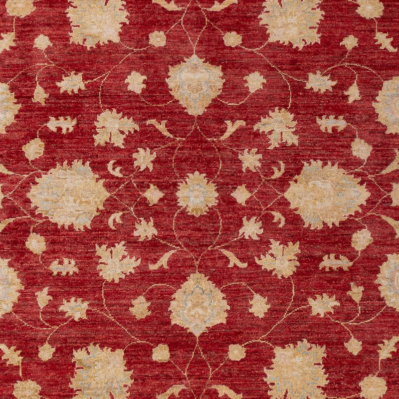 Ziegler Teppe 297x209cm - Orientalsk teppe