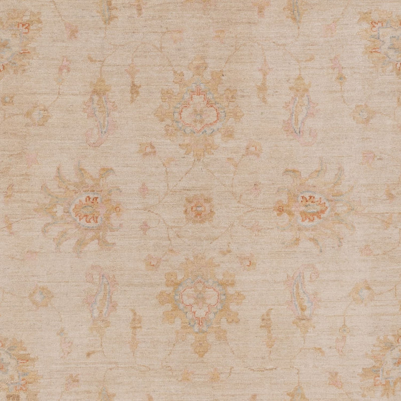 Ziegler Teppe 296x200cm - Orientalsk teppe