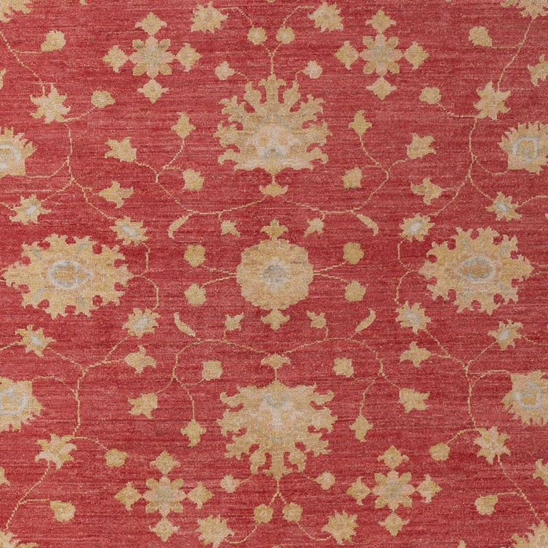 Ziegler Teppe 296x203cm - Orientalsk teppe