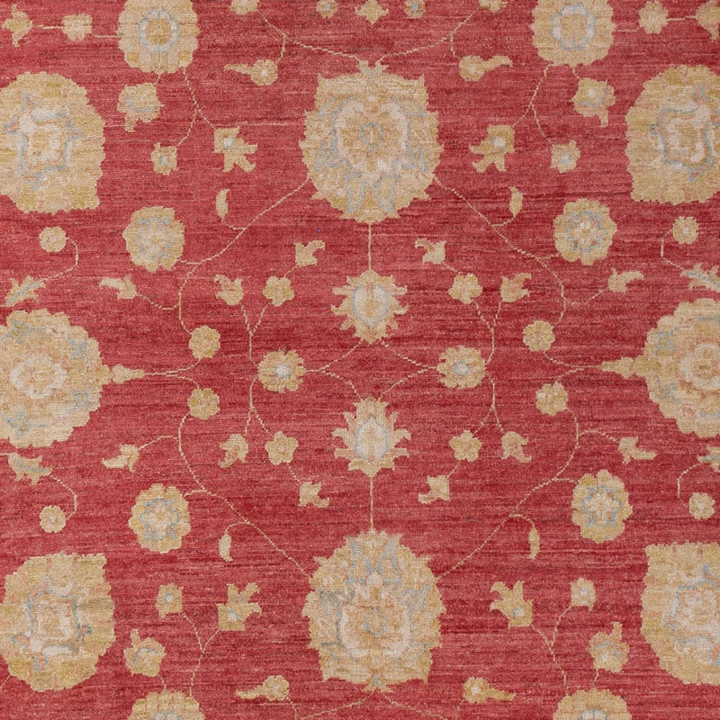 Ziegler Teppe 320x207cm - Orientalsk teppe