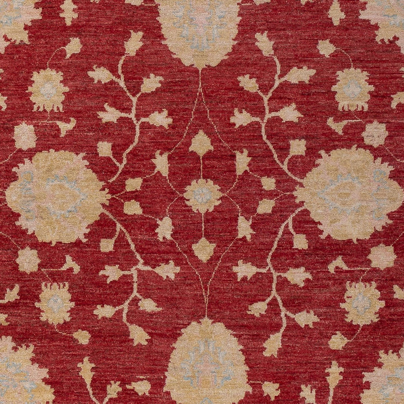 Ziegler Teppe 205x300cm - Orientalsk teppe