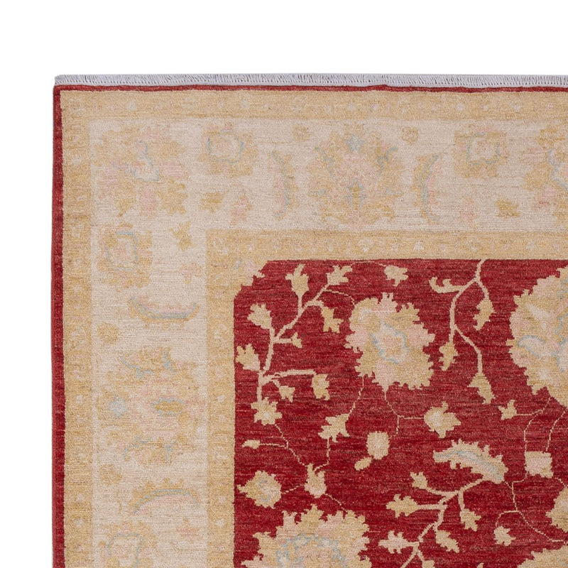 Ziegler Teppe 205x300cm - Orientalsk teppe