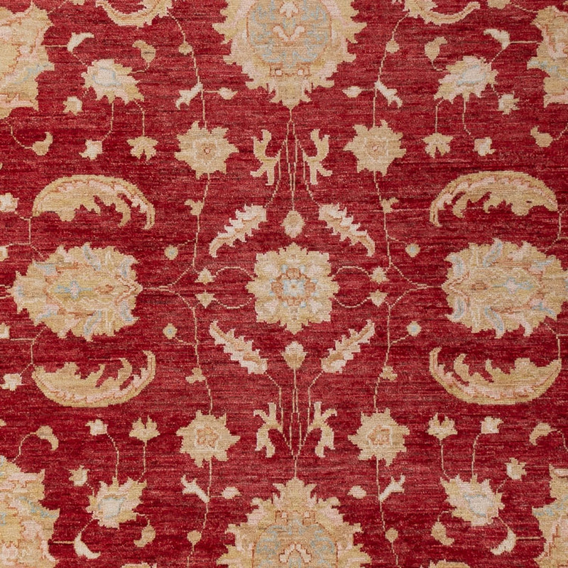 Ziegler Teppe 303x204cm - Orientalsk teppe