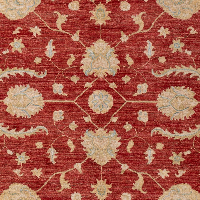 Ziegler Teppe 290x204cm - Orientalsk teppe