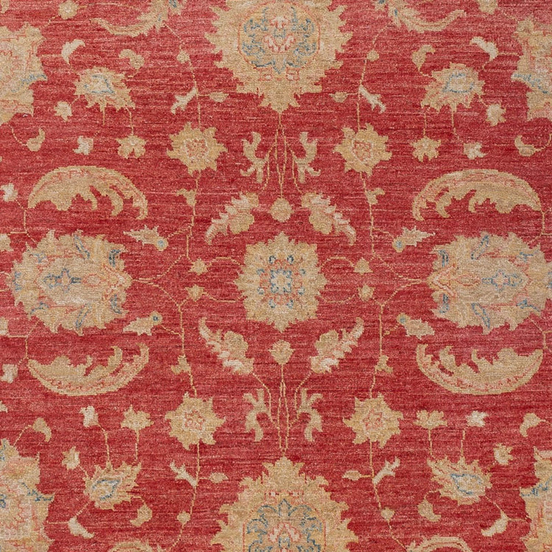 Ziegler Teppe 297x202cm - Orientalsk teppe
