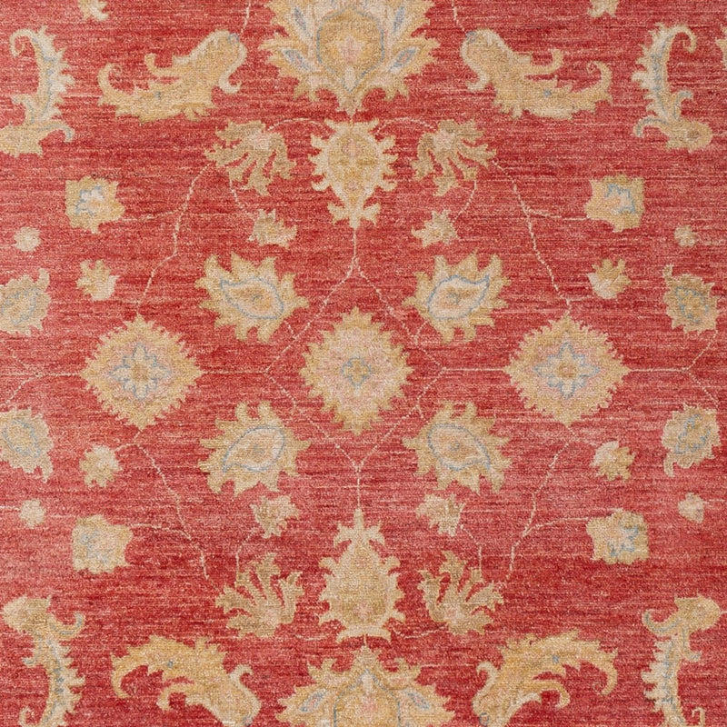 Ziegler Teppe 303x210cm - Orientalsk teppe