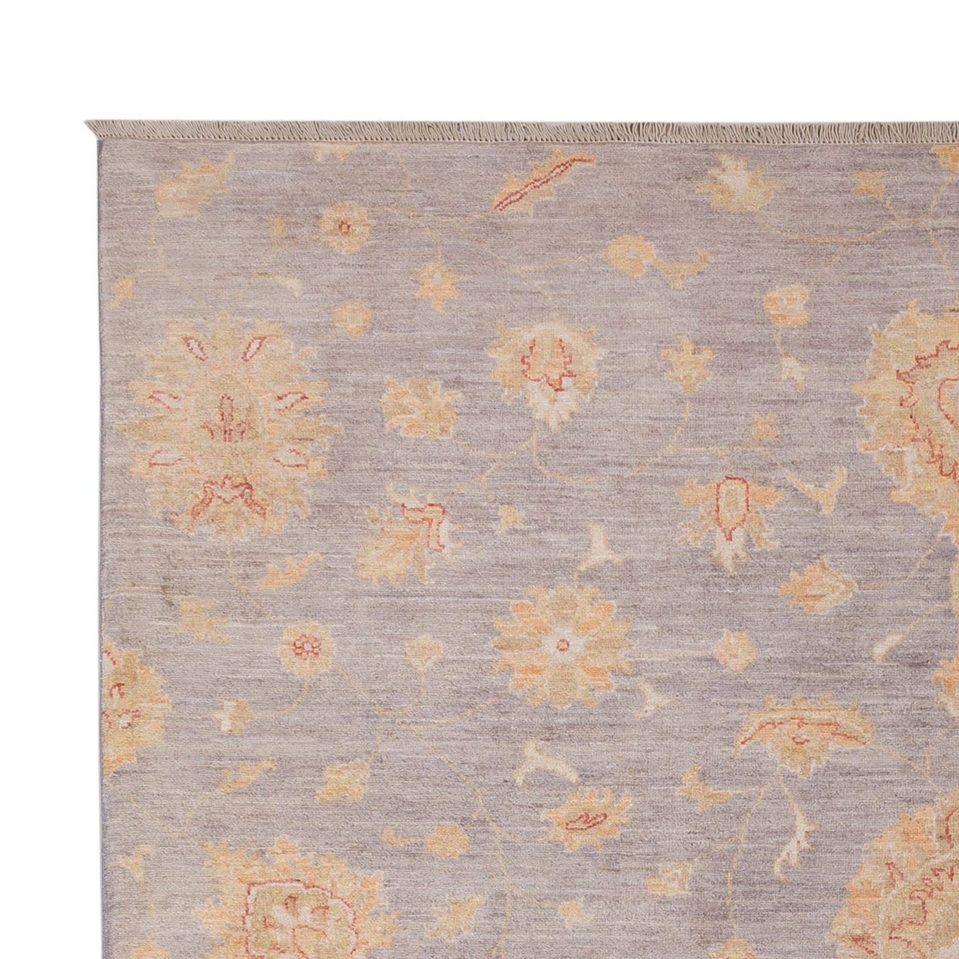 Ziegler moderne Teppe 296x206cm - Orientalsk teppe