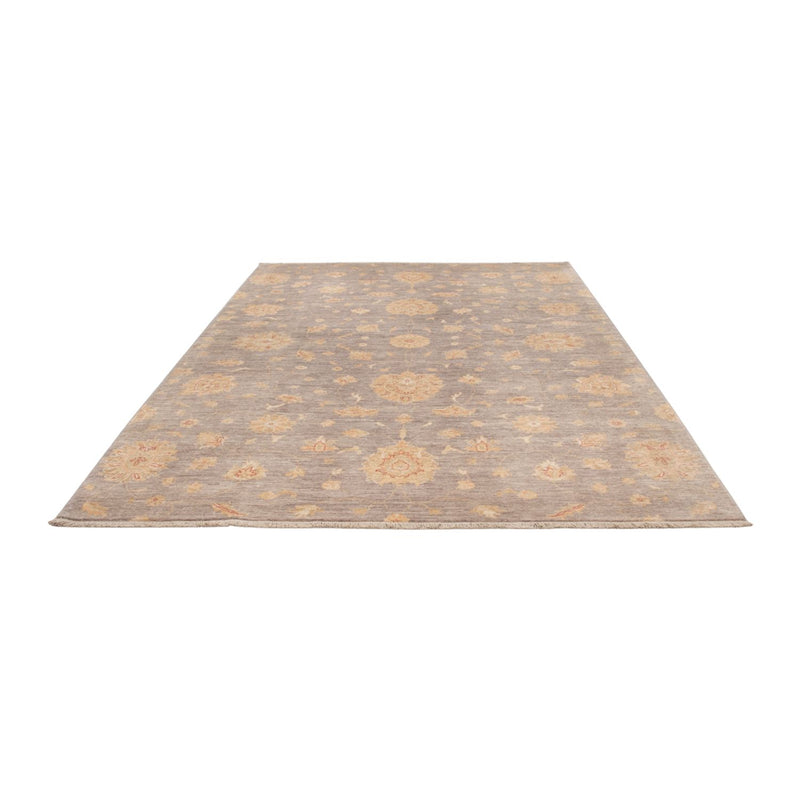 Ziegler moderne Teppe 296x206cm - Orientalsk teppe