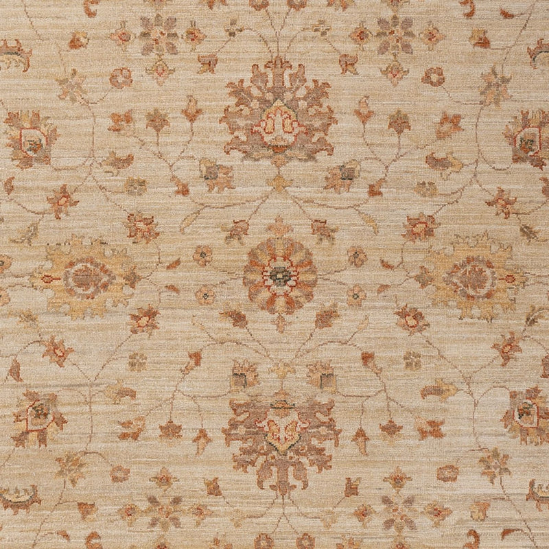 Ziegler Teppe 205x306cm - Orientalsk teppe - beige