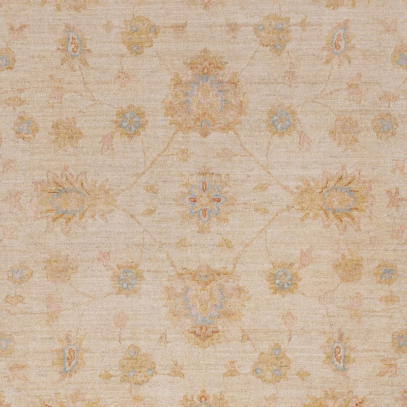 Ziegler Teppe 257x297cm - Orientalsk teppe