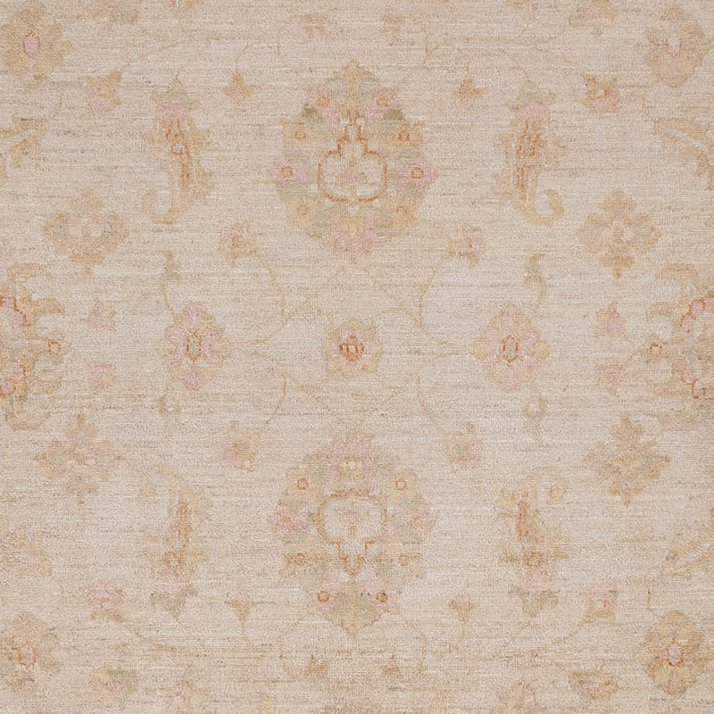 Ziegler Teppe 298x255cm - Orientalsk teppe