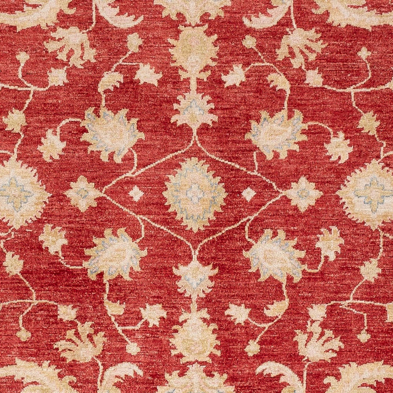 Ziegler Teppe 294x253cm - Orientalsk teppe