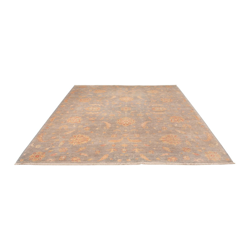 Ziegler moderne Teppe 304x250cm - Orientalsk teppe
