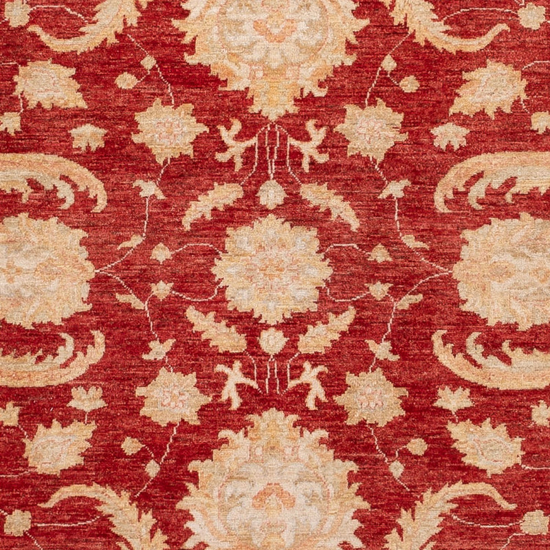 Ziegler Teppe 297x252cm - Orientalsk teppe