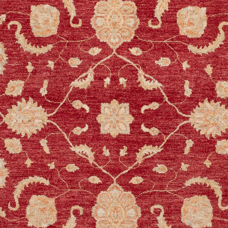 Ziegler Teppe 294x250cm - Orientalsk teppe