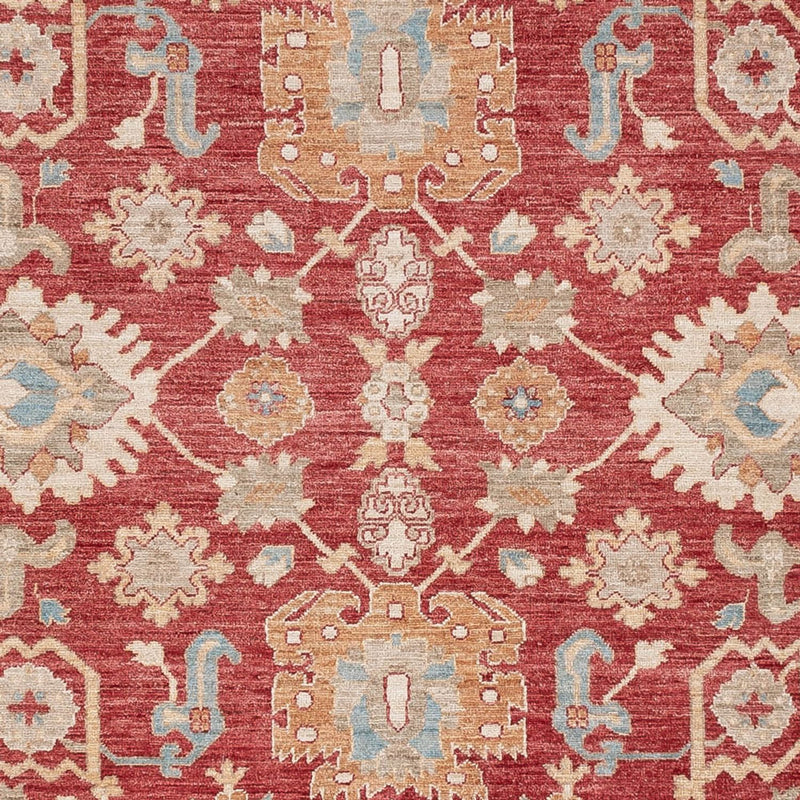 Ziegler Teppe 296x253cm - Orientalsk teppe