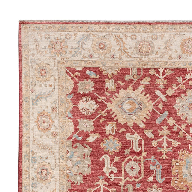 Ziegler Teppe 296x253cm - Orientalsk teppe