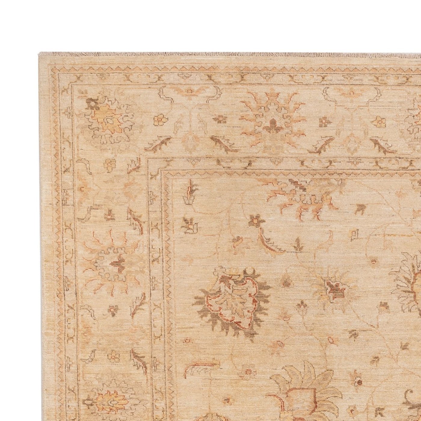 Ziegler Teppe 298x241cm - Orientalsk teppe