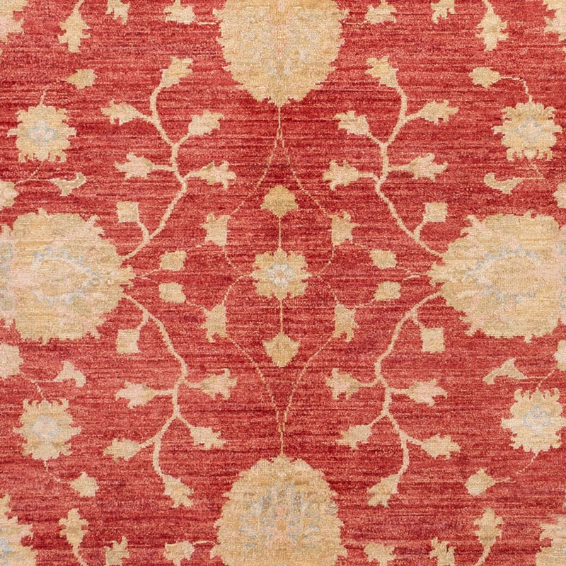 Ziegler Teppe 291x207cm - Orientalsk teppe