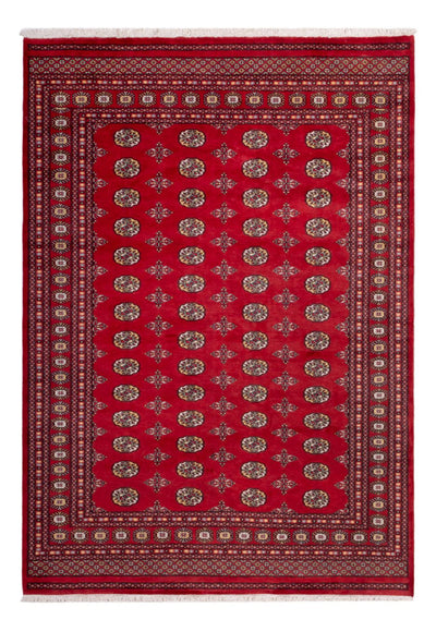 Bukhara Teppe 206x292cm - Orientalsk teppe