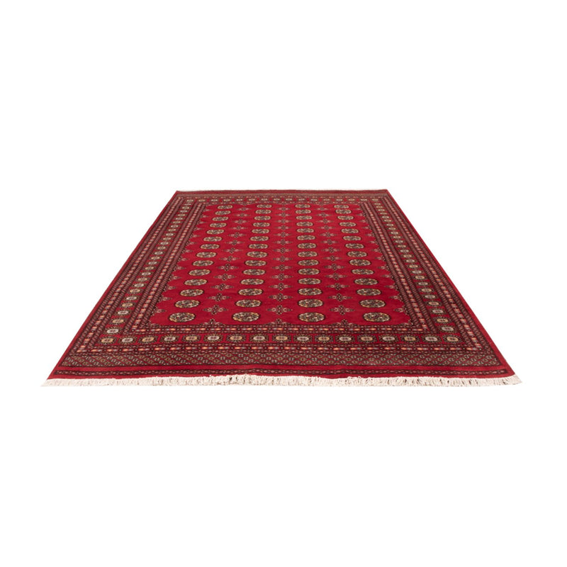 Bukhara Teppe 292x206cm - Orientalsk teppe