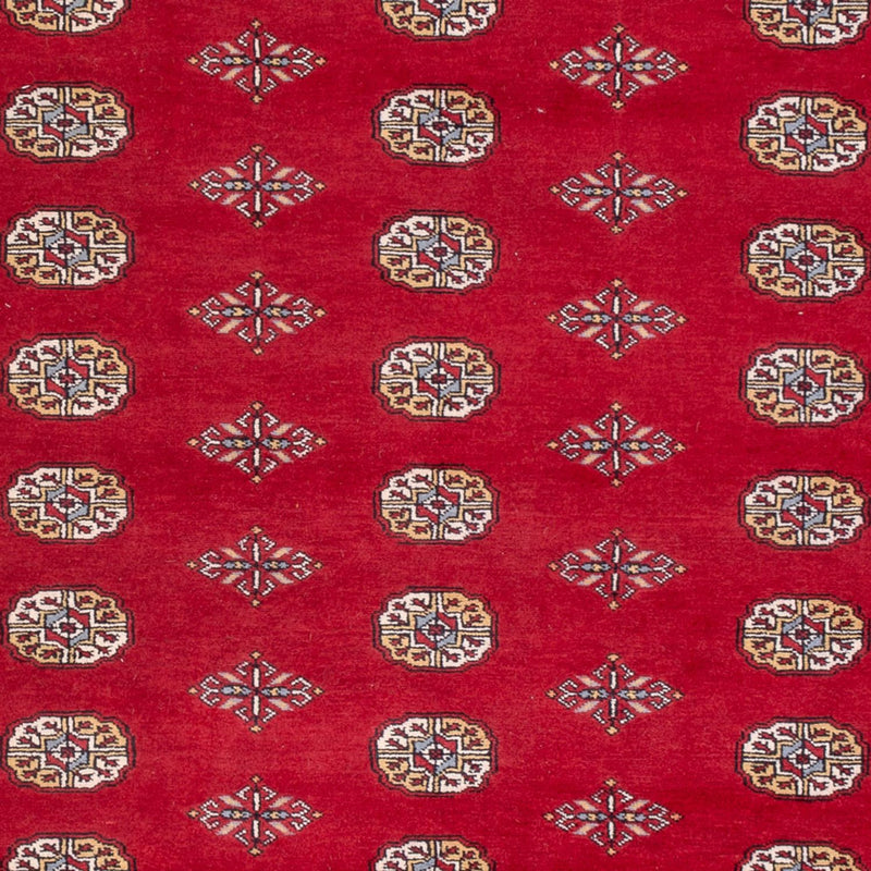 Bukhara Teppe 307x201cm - Orientalsk teppe