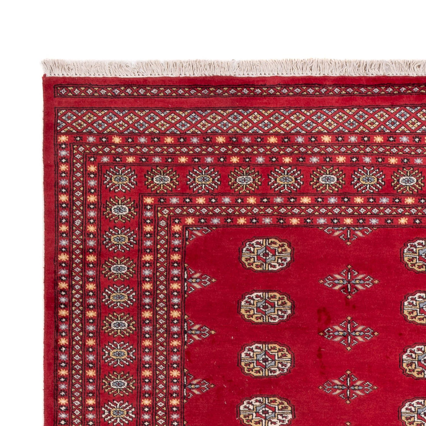 Bukhara Teppe 307x201cm - Orientalsk teppe