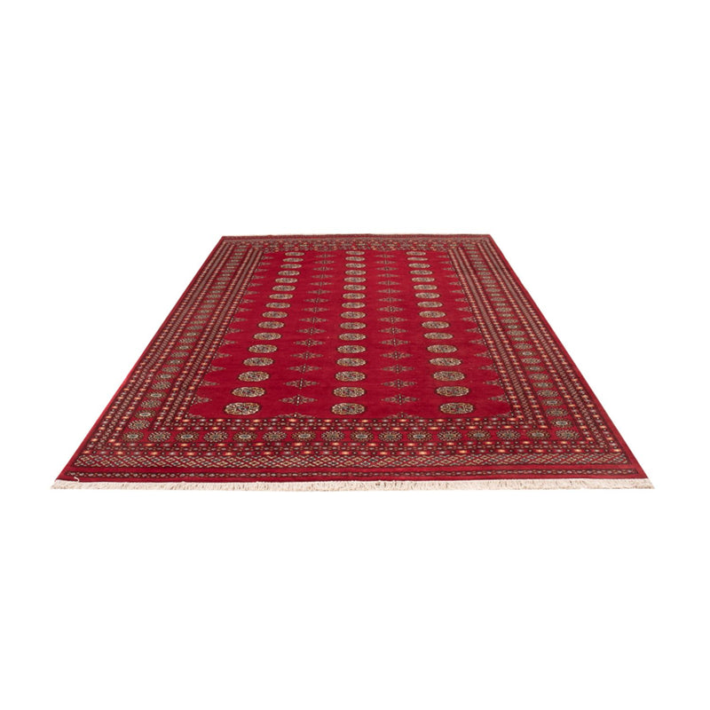 Bukhara Teppe 307x201cm - Orientalsk teppe